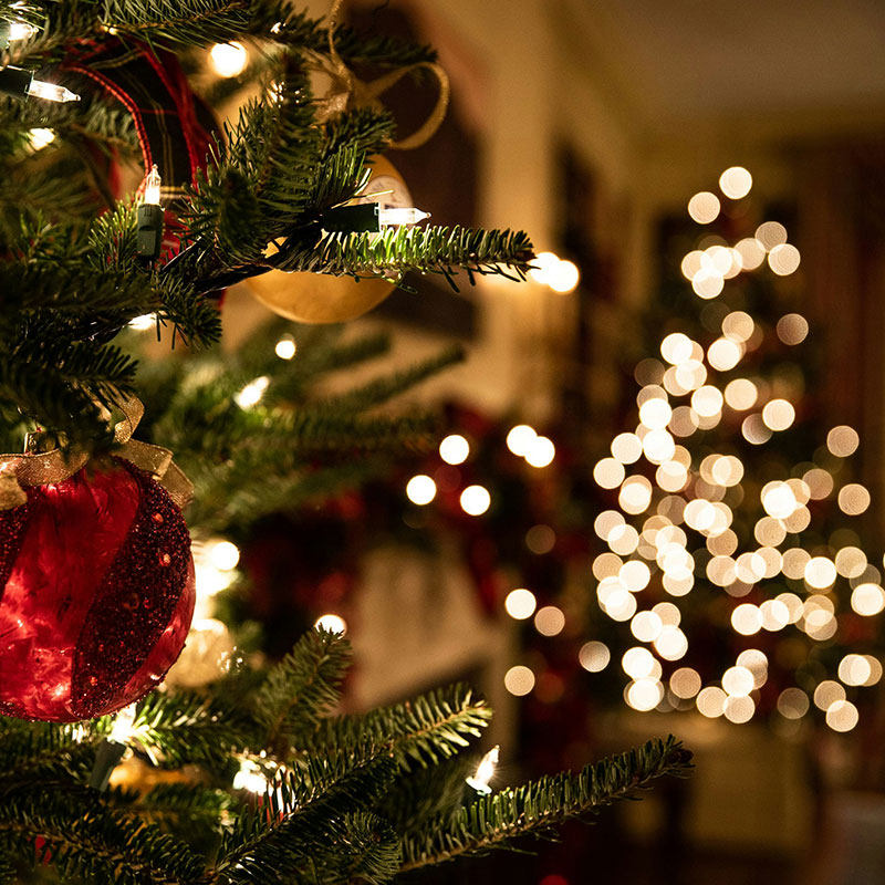 The Leconfield Pub & Kitchen - Christmas Parties